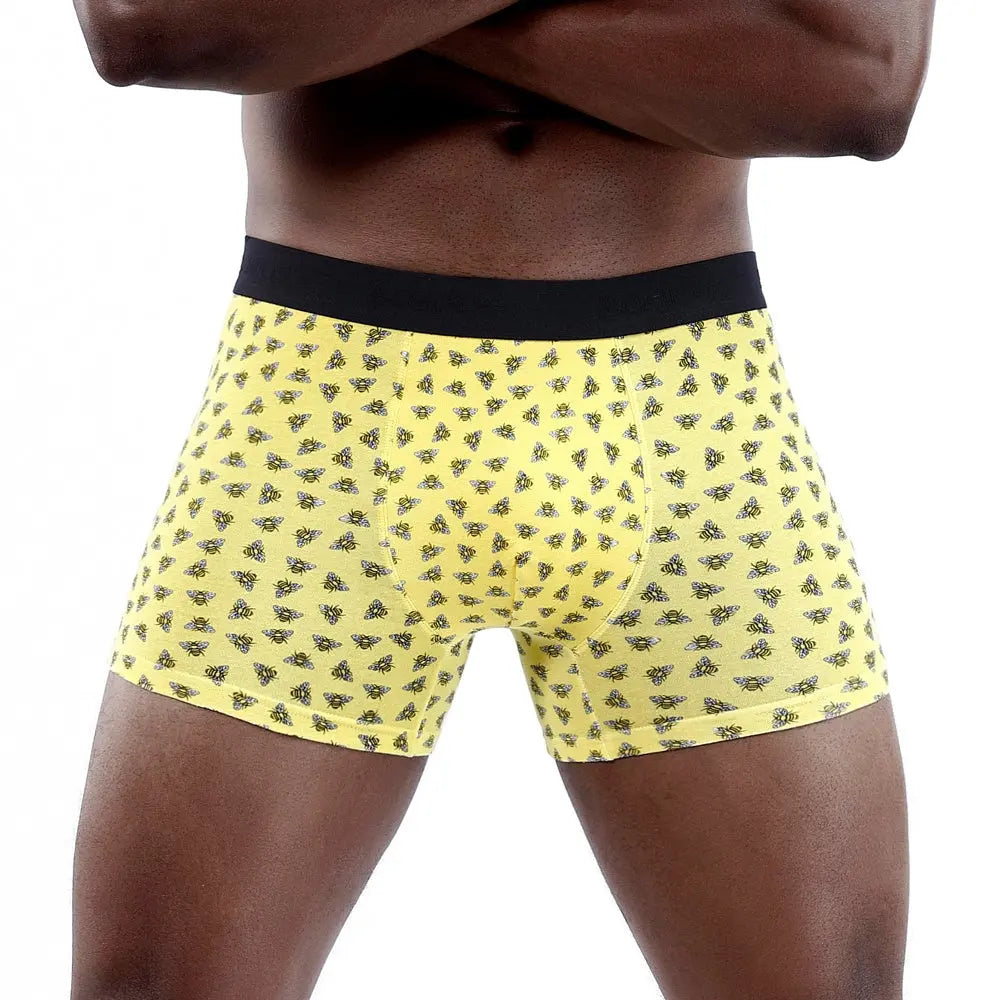 Man UnderwearBoxers Cotton For Men Panties Boxershorts Conceitastral