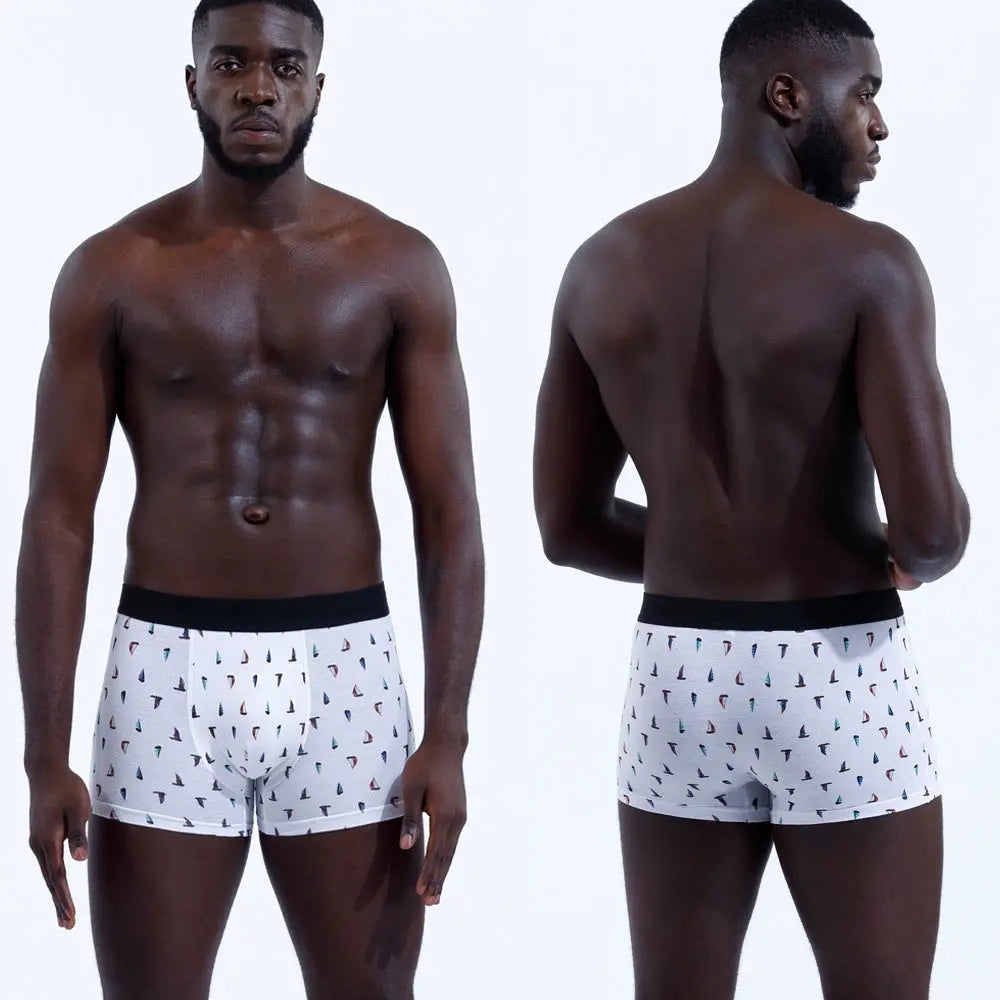 Man UnderwearBoxers Cotton For Men Panties Boxershorts Conceitastral