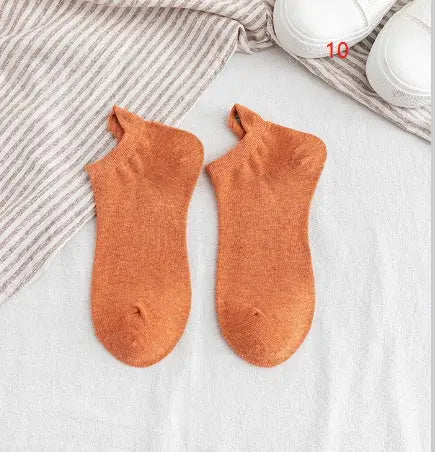 Women Socks Conceitastral