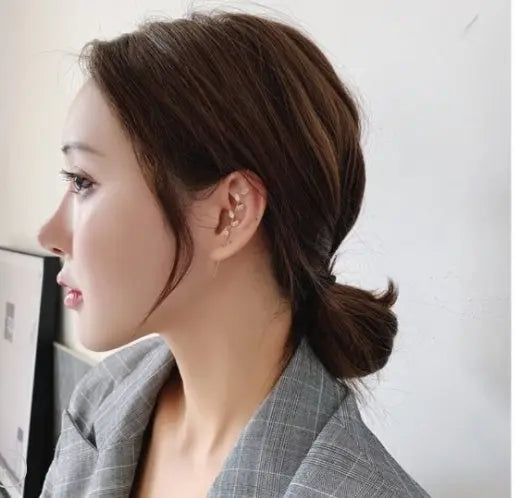 Zircon Earrings Pierced Earrings Women Conceitastral