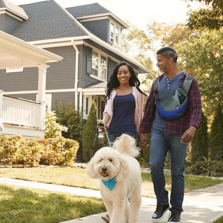 404 POPMARKET Dog Carrier Bag Conceitastral