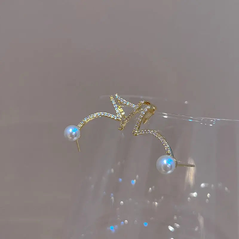 Fashion Personality Wild Earrings Women Conceitastral