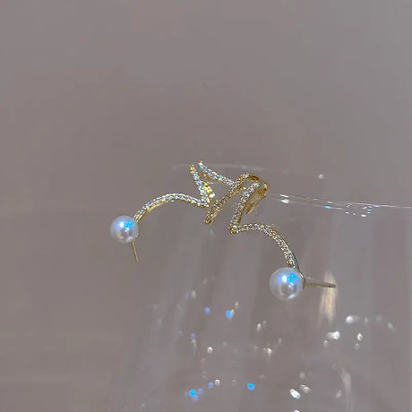 Fashion Personality Wild Earrings Women Conceitastral