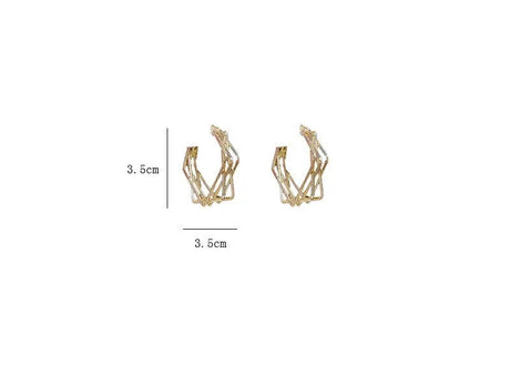Frosty Personality Earrings Trendy Earrings Women Conceitastral